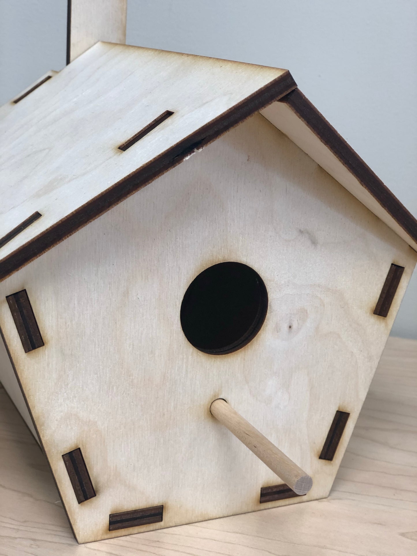 DIY Birdhouse Kit